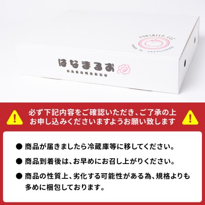 【先行予約】トマトはなまるお 4kg【2025年11月上旬より順次発送】_214-3181-E
