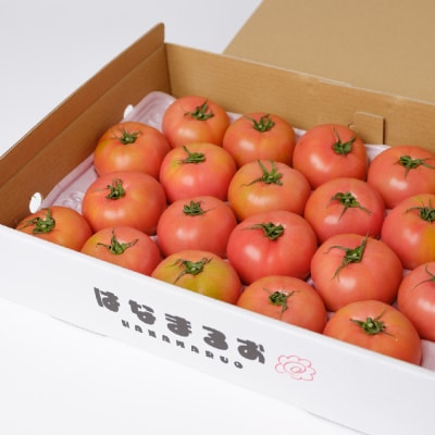【先行予約】トマト はなまるお 4kg【2026年11月中旬より順次発送】_214-3181-F
