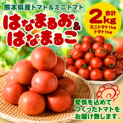 【先行予約】トマト1kg&ミニトマト1kg【2026年11月中旬より順次発送】_214-4022-F