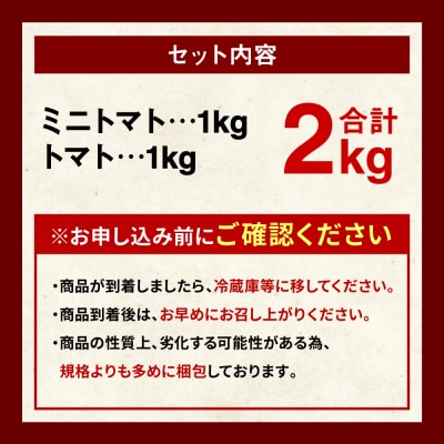 【先行予約】トマト1kg&ミニトマト1kg【2025年11月上旬より順次発送】_214-4022-E