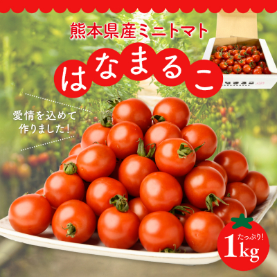 【先行予約】ミニトマト はなまるこ 1kg【2026年11月中旬より順次発送】_214-4023-F