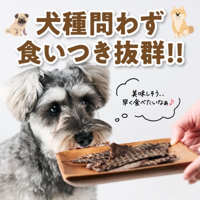 ペット用 馬刺しジャーキー100g  馬肉 ペットフード_212-6543