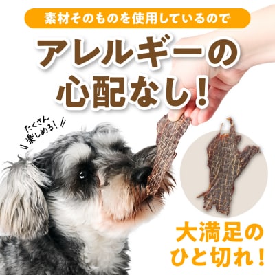 ペット用 馬刺しジャーキー100g  馬肉 ペットフード_212-6543