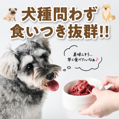 ペット用 馬肉切り落とし1kg 馬肉 ペットフード_212-6544