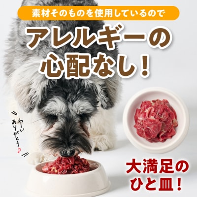 ペット用 馬肉切り落とし1kg 馬肉 ペットフード_212-6544