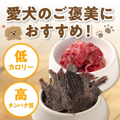 ペット用 馬肉切り落とし1kg&馬刺しジャーキー100g 馬肉 ペットフード_212-6546