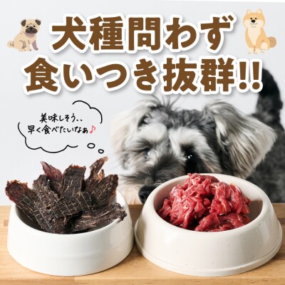 ペット用 馬肉切り落とし1kg&馬刺しジャーキー100g 馬肉 ペットフード_212-6546