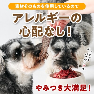 ペット用 馬肉切り落とし1kg&馬刺しジャーキー100g 馬肉 ペットフード_212-6546