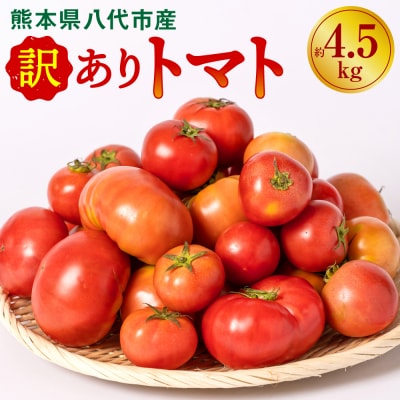 【先行予約】訳あり規格外トマト 約4.5kg【2026年4月中旬より順次発送】_217-5121-B