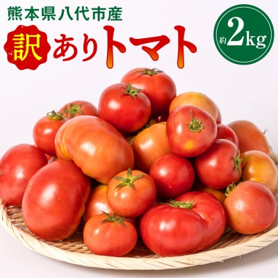 【先行予約】訳ありトマト 約2kg【2027年4月中旬より順次発送】_217-5120-C