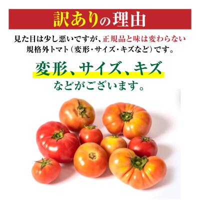 【先行予約】訳あり規格外トマト 約2kg【2026年4月中旬より順次発送】_217-5120-B