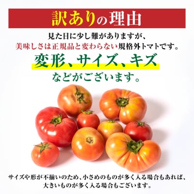【先行予約】訳ありトマト 約2kg【2027年4月中旬より順次発送】_217-5120-C