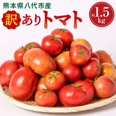 【先行予約】訳ありトマト 約1.5kg【2027年4月中旬より順次発送】_217-5119-C