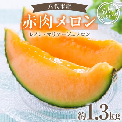赤肉メロン約1.3kg_229-6591