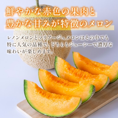 【先行予約】赤肉メロン約1.3kg【2026年6月中旬より順次発送】_229-6591