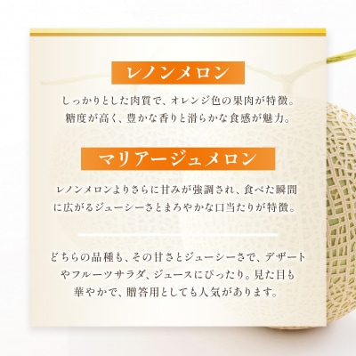 【先行予約】赤肉メロン約1.3kg【2026年6月中旬より順次発送】_229-6591