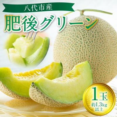 【先行予約】肥後グリーン 1玉 約1.3kg以上【2026年6月中旬より順次発送】_229-6592