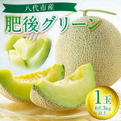 【先行予約】肥後グリーン 1玉 約1.3kg以上【2026年6月中旬より順次発送】_229-6592