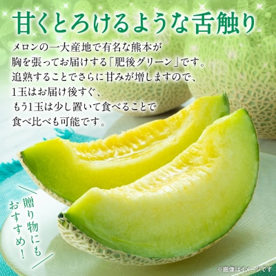 【先行予約】肥後グリーン 1玉 約1.3kg以上【2026年6月中旬より順次発送】_229-6592