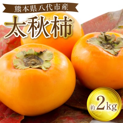 【先行予約】 太秋柿 約2kg(5～8玉)【2026年10月上旬より順次発送】_229-6595-A
