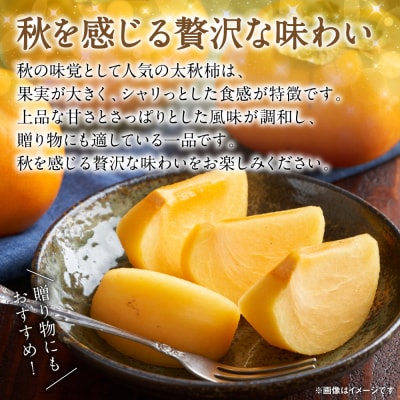 【先行予約】 太秋柿 約2kg(5～8玉)【2026年10月上旬より順次発送】_229-6595-A