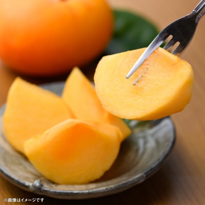 【先行予約】 太秋柿 約2kg(5～8玉)【2026年10月上旬より順次発送】_229-6595-A