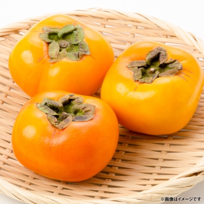 【先行予約】 太秋柿 約2kg(5～8玉)【2026年10月上旬より順次発送】_229-6595-A