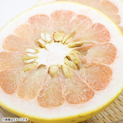 【先行予約】訳あり八代ザボン約5kg【2026年11月上旬より順次発送】_232-4969-A