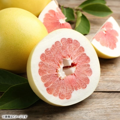 【先行予約】訳あり八代ザボン約5kg【2026年11月上旬より順次発送】_232-4969-A