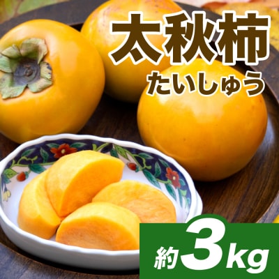 【先行予約】 太秋柿約3kg(8～15玉)【2026年10月上旬より順次発送】_232-6031-A