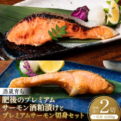 酒蔵育ち肥後のプレミアムサーモン 酒粕漬け2切×1プレミアムサーモン切身約500g_257-6782