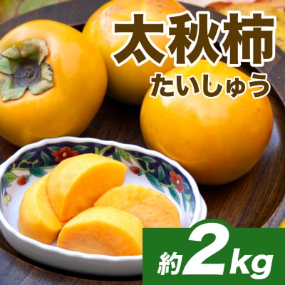 【先行予約】 太秋柿 約2kg(4～8玉)【2026年10月上旬より順次発送】_232-6030-A