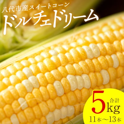 【先行予約】スイートコーン5kg(11本～13本)【5月中旬より発送】_265-6391-A