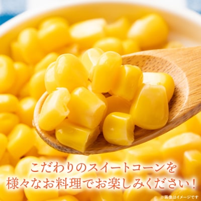 【先行予約】スイートコーン5kg(11本～13本)【5月中旬より発送】_265-6391-A
