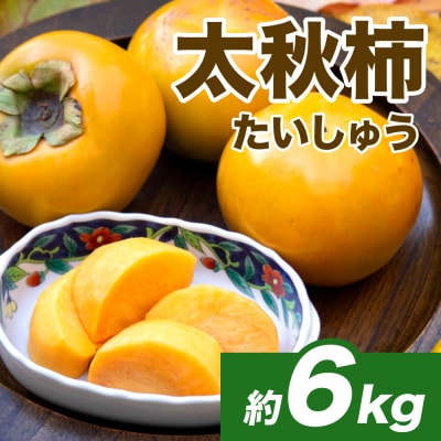 【先行予約】太秋柿約6kg(16～30玉)【2026年10月上旬より順次発送】_232-6032-A