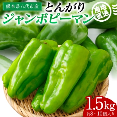 【先行予約】とんがりジャンボピーマン 1.5kg【2026年4月上旬より順次発送】_271-6792