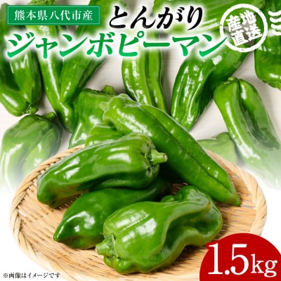 とんがりジャンボピーマン 1.5kg_271-6792-A