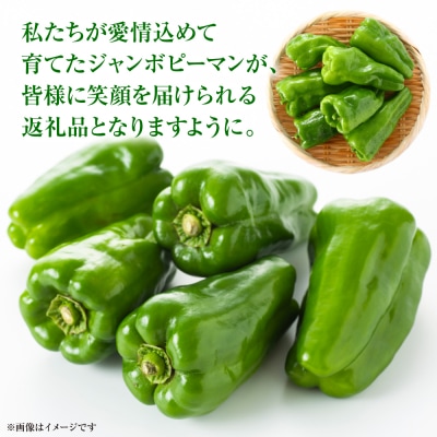 【先行予約】とんがりジャンボピーマン 1.5kg【2026年4月上旬より順次発送】_271-6792