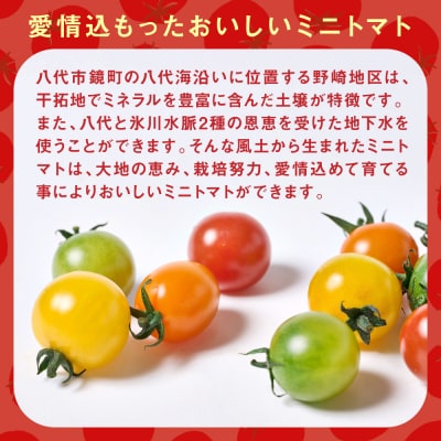 カラーミニトマト1kg トマト とまと ミニトマト_271-6522-A
