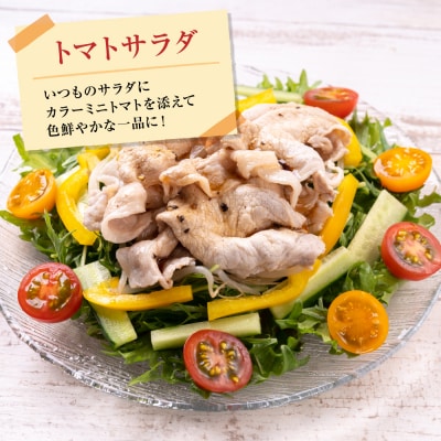 カラーミニトマト1kg トマト とまと ミニトマト_271-6522-A