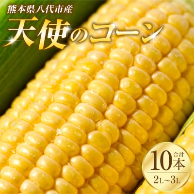 【先行予約】天使のコーン2L～3L合計10本【2026年5月中旬より順次発送】_268-6477-A