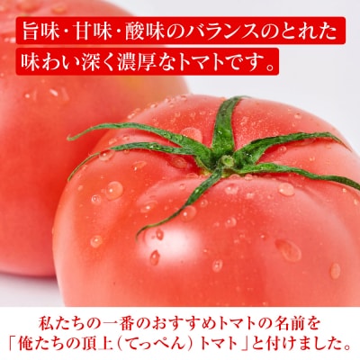 産地直送 俺たちの頂上トマト 3.5kg_271-6793