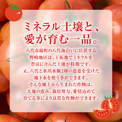 産地直送 俺たちの頂上トマト 3.5kg_271-6793