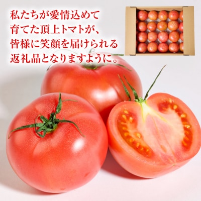 産地直送 俺たちの頂上トマト 3.5kg_271-6793