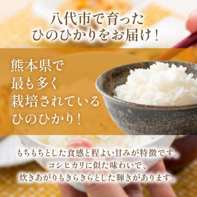 《令和7年産》 ヒノヒカリ 5kg×2袋 合計10kg  熊本県 八代市産_274-6647