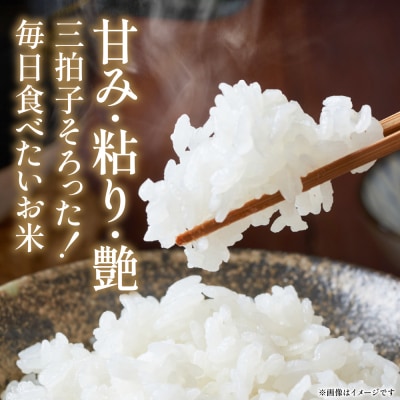 《令和7年産》 ヒノヒカリ 5kg×2袋 合計10kg  熊本県 八代市産_274-6647