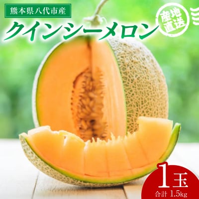 【先行予約】クインシーメロン 1玉 約1.5kg【2026年5月下旬より順次発送】_271-6794