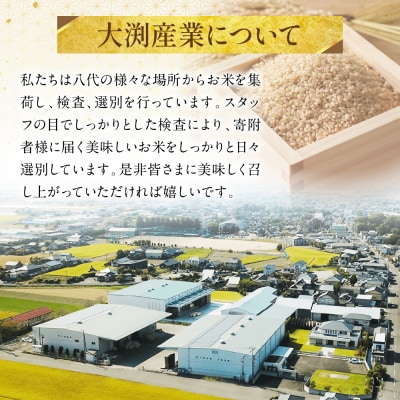 くまさんの輝き 発芽玄米 パックごはん 180g×24個入り 米_274-6701