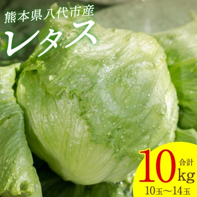 レタス10kg (10玉～14玉) 野菜 葉物 やさい_265-6472-A