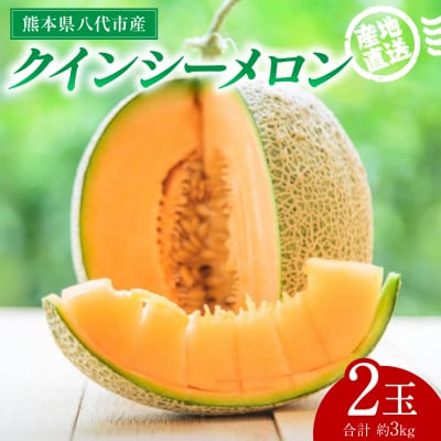 【先行予約】クインシーメロン 2玉 約3kg【2026年5月下旬より順次発送】_271-6795-A